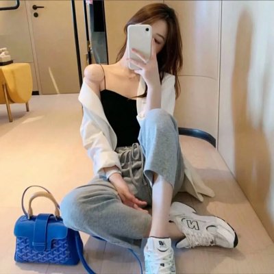 菊石海报